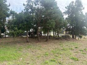 宮城県登米市迫町新田字山守屋敷