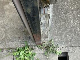 千葉県柏市南逆井６丁目