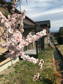 長野県飯田市白山通り１丁目
