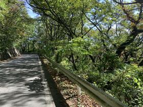 長野県北佐久郡軽井沢町大字長倉