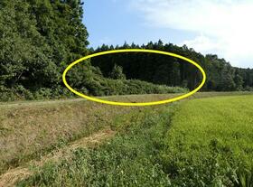 福島県相馬郡新地町大字福田字山崎