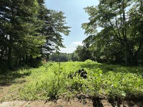 長野県北佐久郡御代田町大字塩野