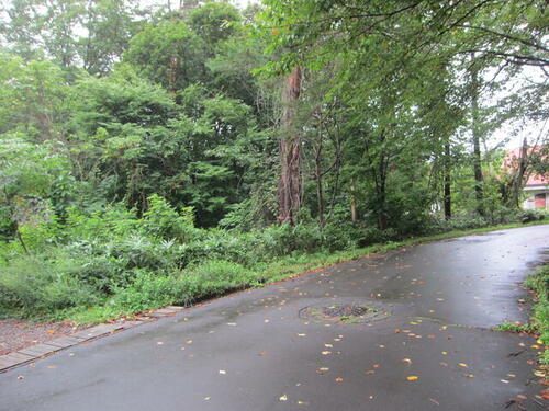 Land, Hachimantai, Iwate