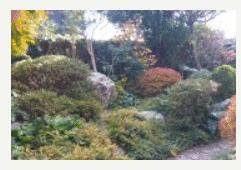 千葉県茂原市小林