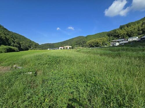 Land, Kimino Town, Wakayama