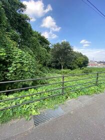 茨城県守谷市大柏