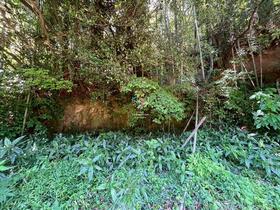 熊本県菊池郡大津町大字大津