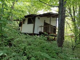 山梨県北杜市大泉町谷戸