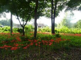 栃木県下野市仁良川