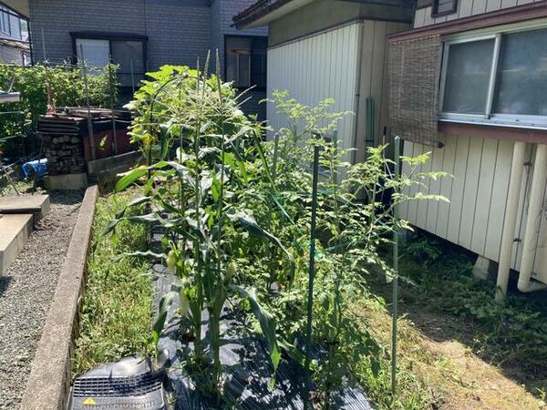 detached 山形県村山市楯岡楯

地図を見る