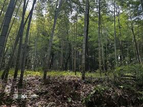 埼玉県日高市大字高岡