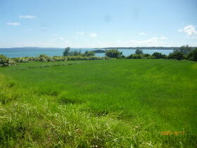 沖縄県名護市字豊原