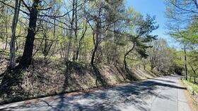 長野県須坂市大字仁礼峰の原高原