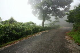 大分県速見郡日出町大字南畑