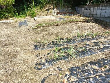 代表画像_外観@204009748959