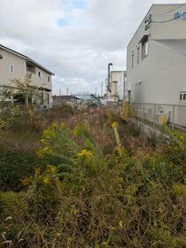 愛知県一宮市木曽川町外割田四の通り