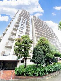 エルベロワイヤル１６