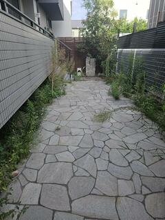 代表画像_外観@223039486602