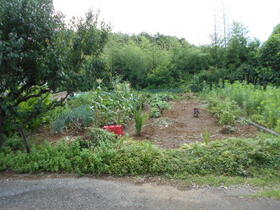 千葉県千葉市若葉区坂月町