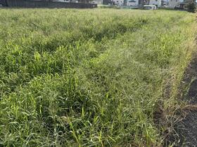 香川県高松市香西本町