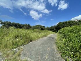 熊本県阿蘇郡南阿蘇村大字河陽