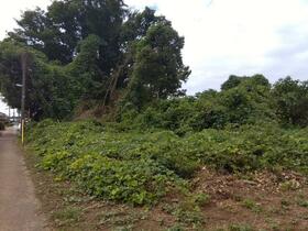 茨城県坂東市弓田