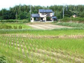 千葉県茂原市粟生野