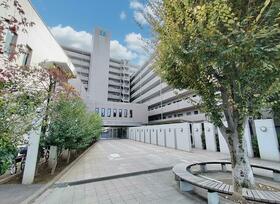 千葉県柏市青葉台２丁目