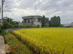 大阪府泉南市信達市場