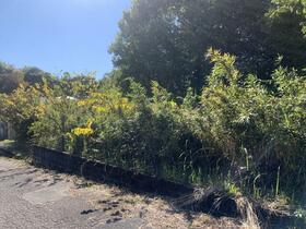 栃木県鹿沼市板荷