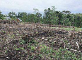 山梨県北杜市大泉町谷戸