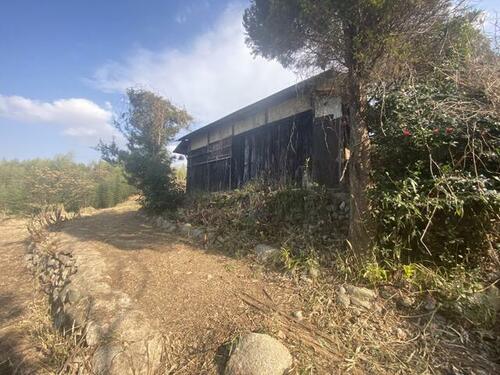 土地, 大阪府 南河内郡千早赤阪村