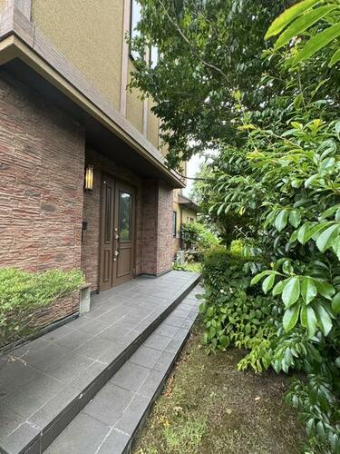Image 23