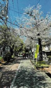 東京都江東区大島３丁目