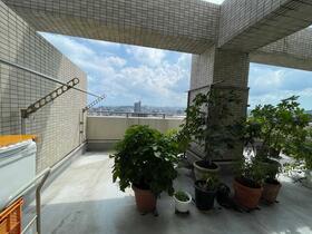 ダイアパレス高麗本通り