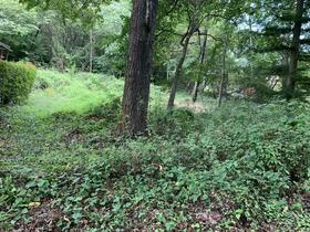 山梨県北杜市長坂町大井ヶ森