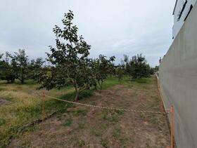 岐阜県岐阜市上尻毛八幡