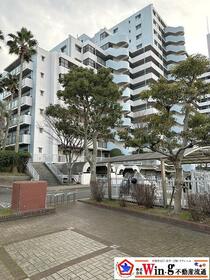 パームスクエアジェームス山