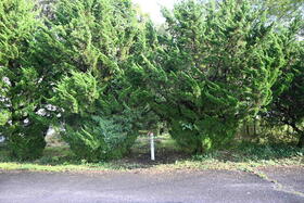 栃木県那須郡那須町大字高久甲