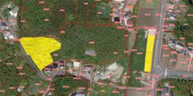 山口県熊毛郡田布施町大字麻郷