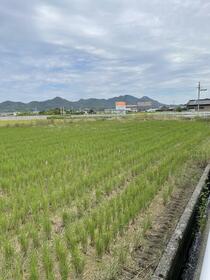 香川県三豊市三野町吉津