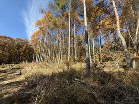 山梨県北杜市大泉町谷戸