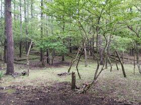 山梨県南都留郡山中湖村平野