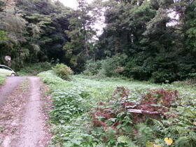 千葉県安房郡鋸南町江月