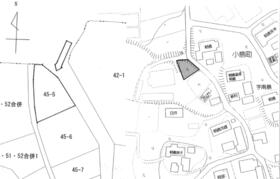 愛知県豊橋市小島町字南島