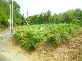愛知県豊橋市小島町字南島