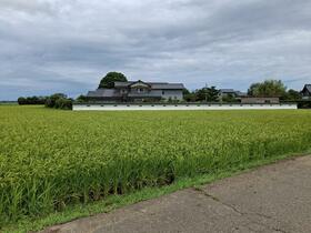 福井県福井市小尉町