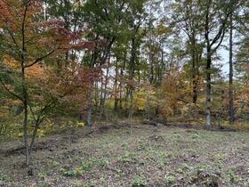 長野県小諸市大字大久保