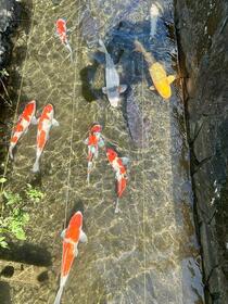 徳島県徳島市丈六町溝筋