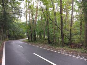 山梨県南都留郡富士河口湖町小立